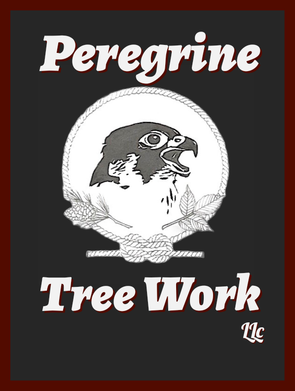Peregrine Tree Work llc